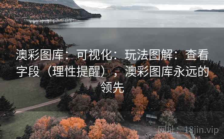 澳彩图库：可视化：玩法图解：查看字段（理性提醒），澳彩图库永远的领先  第2张